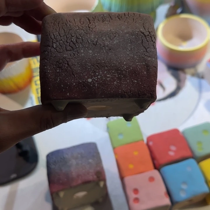 红陶紫*兰我们的目标是成为一个优秀的人