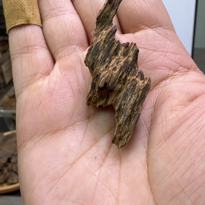 文莱九分沉小料2克