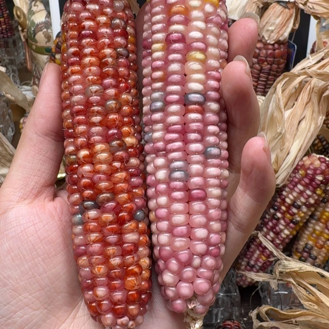 柏香籽/百香籽吊坠。**o