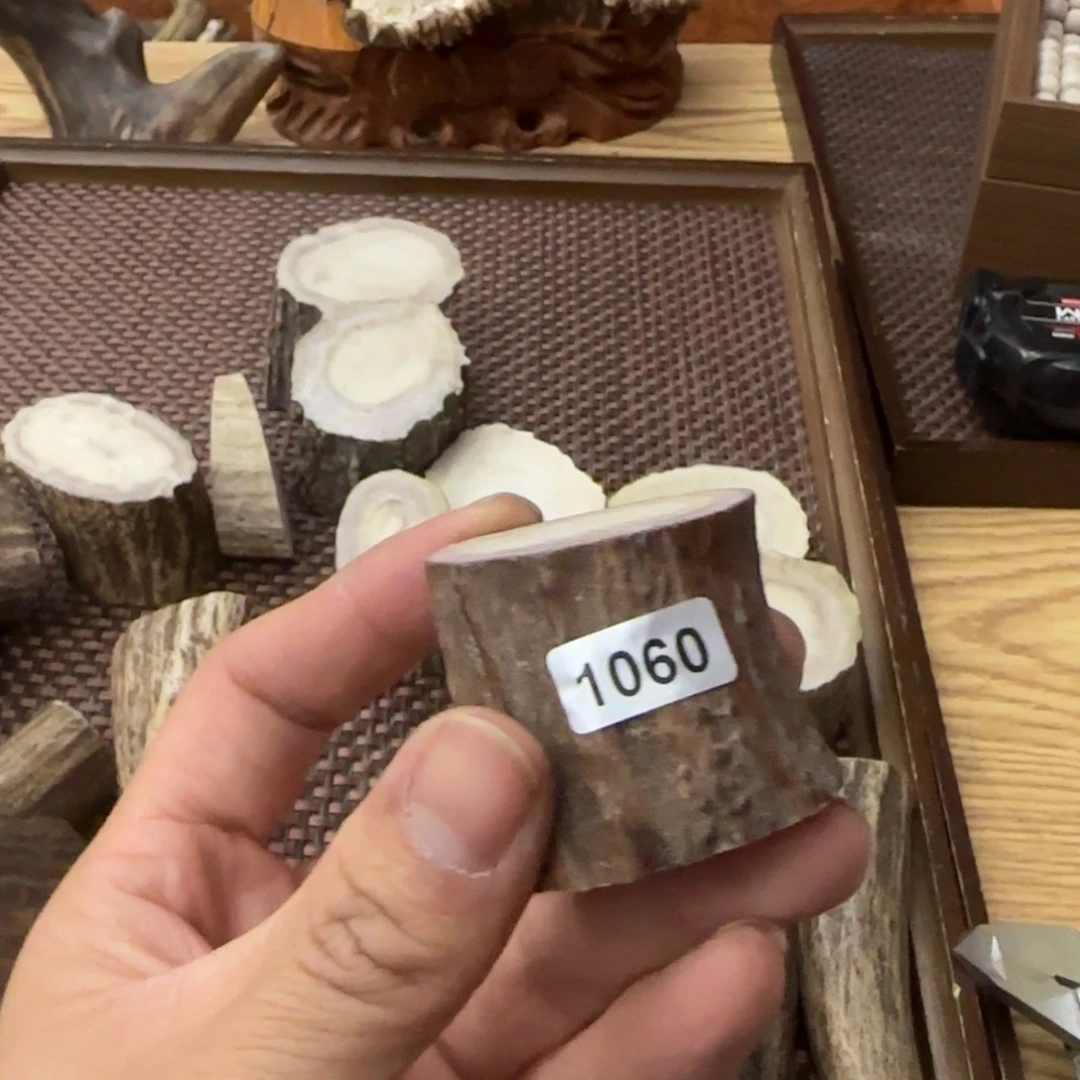 鹿骨其他鹿角段1060号