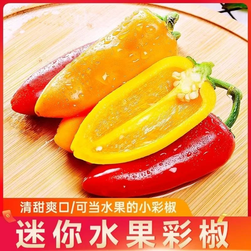 【顺丰】山东可生食迷你水果彩椒生吃不辣脆甜生吃沙拉爽脆多汁