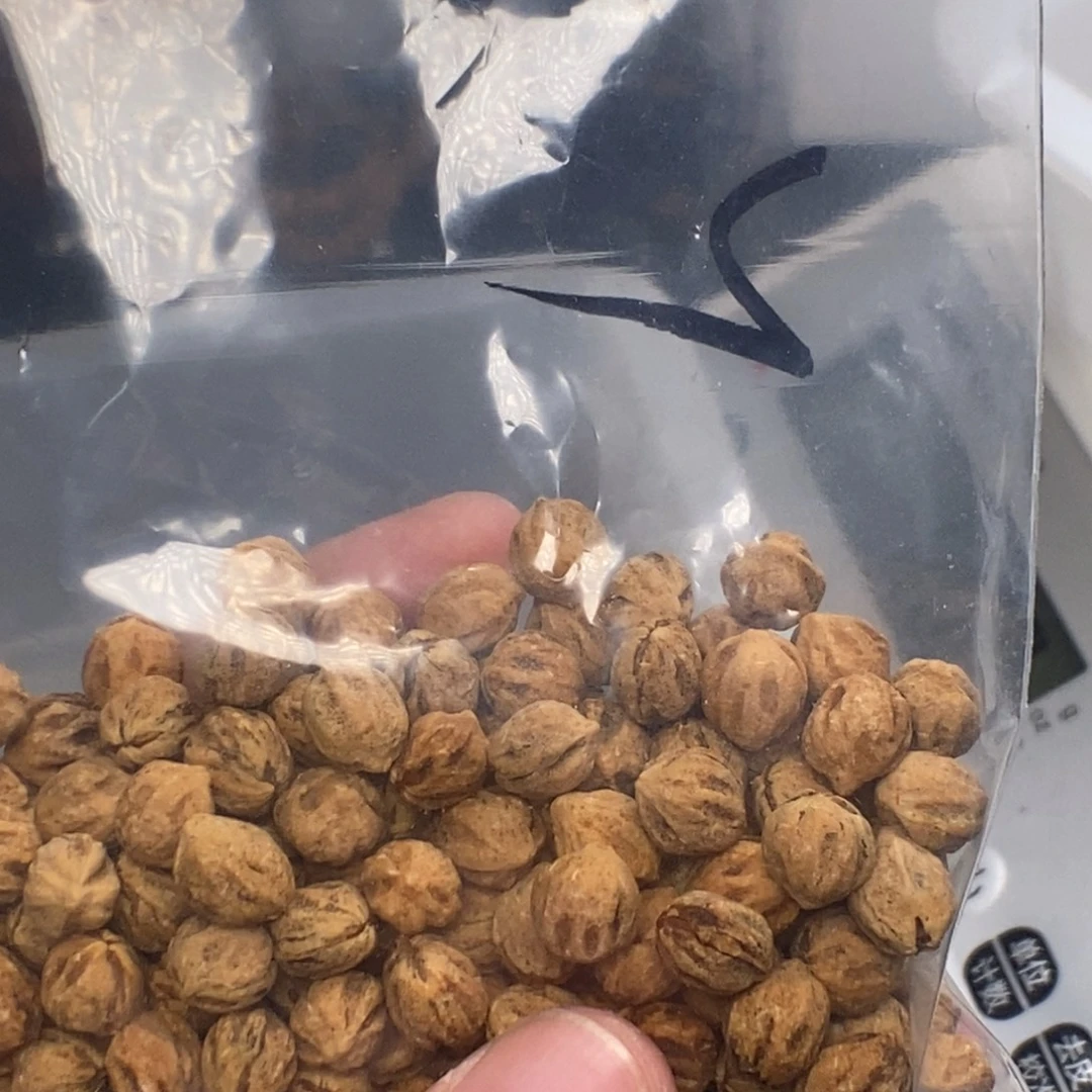 ****子柏香籽/百香籽吊坠