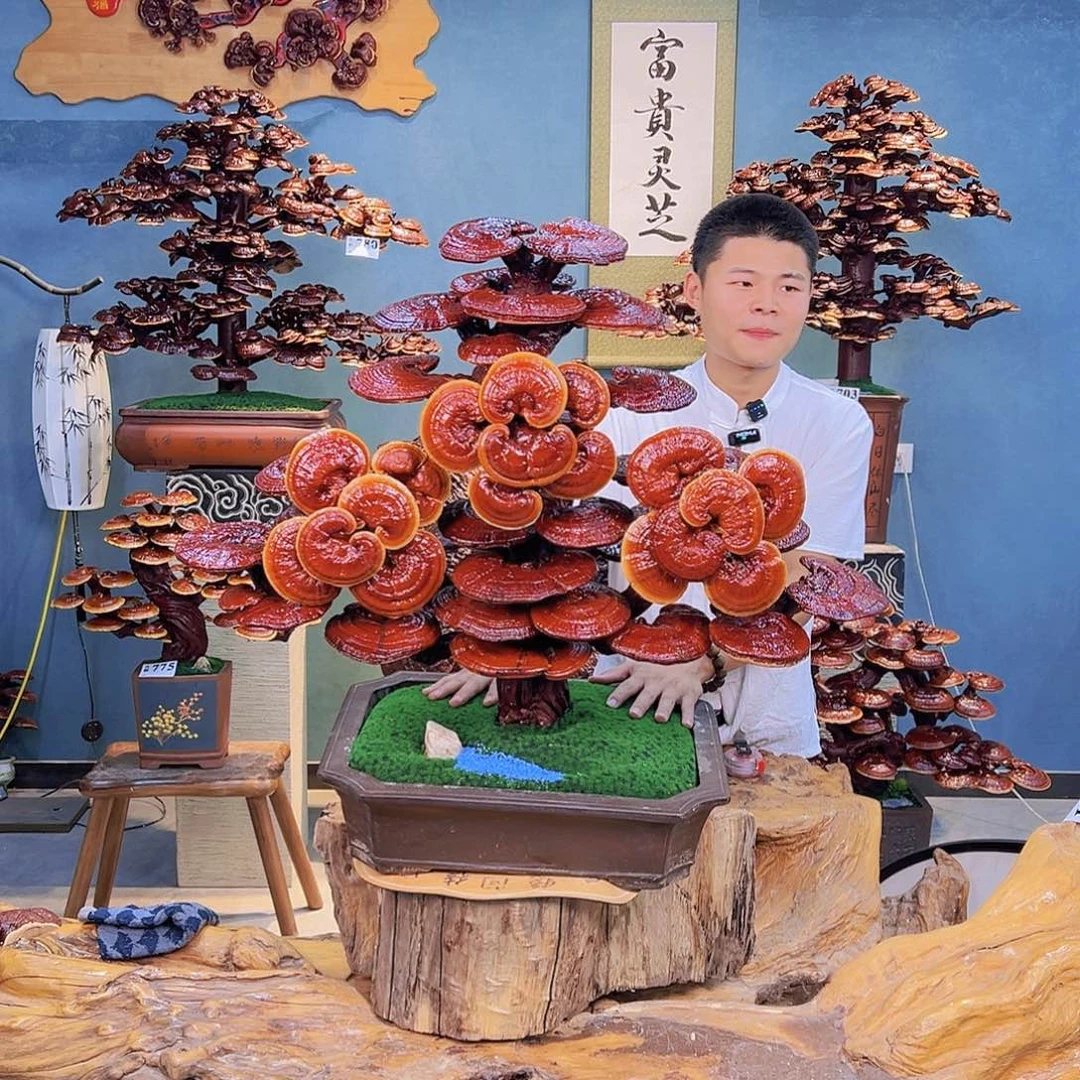 无花朵8888888888888888