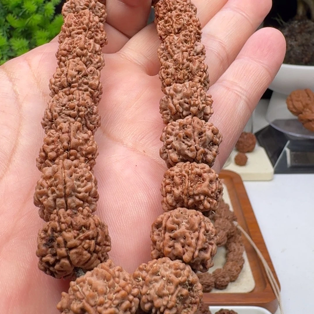 3***！手串金刚菩提天尊六瓣手持