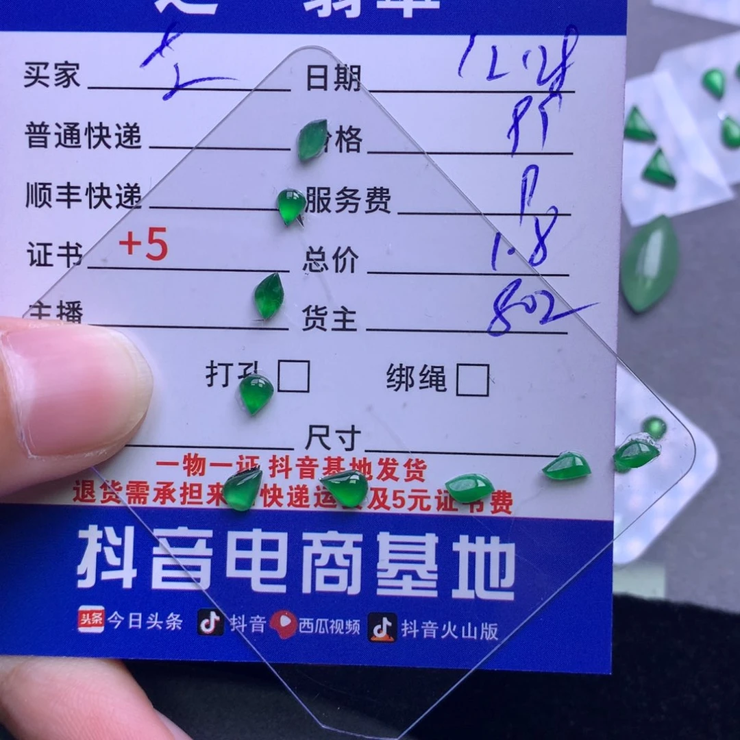 颈饰未镶嵌翡翠芝