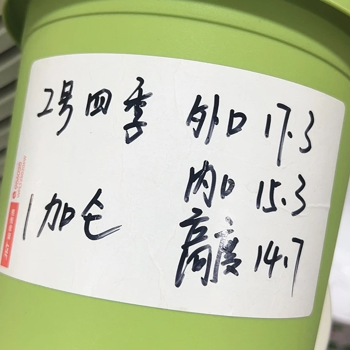 特价2号四季口17.3高14.7果绿带托10只
