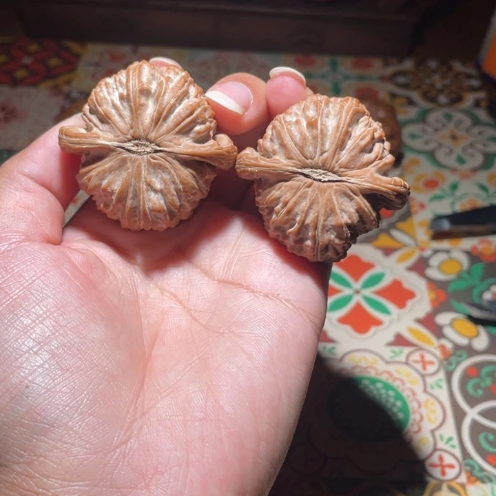 西***糖核桃手串/手链43白狮子