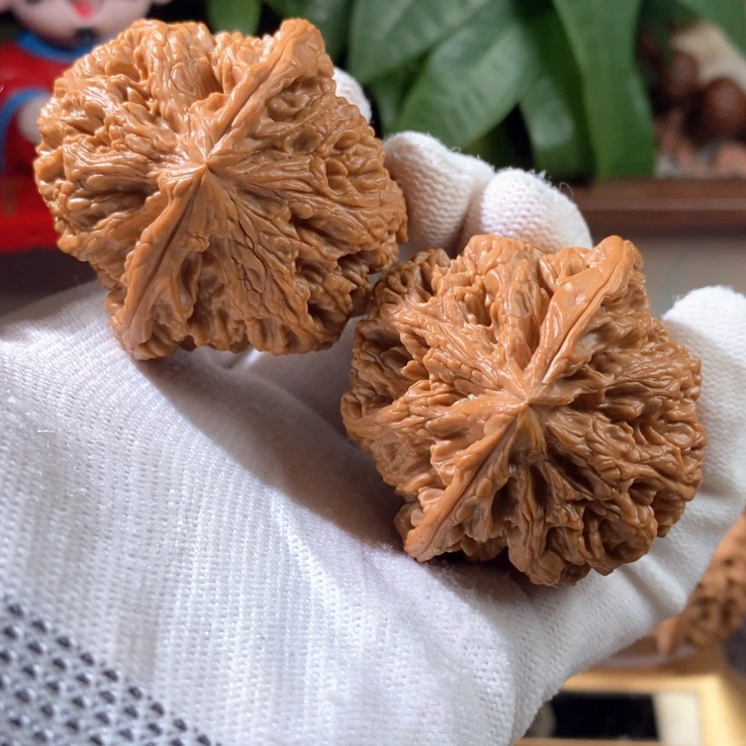 文玩核桃吊坠E****t粗筋