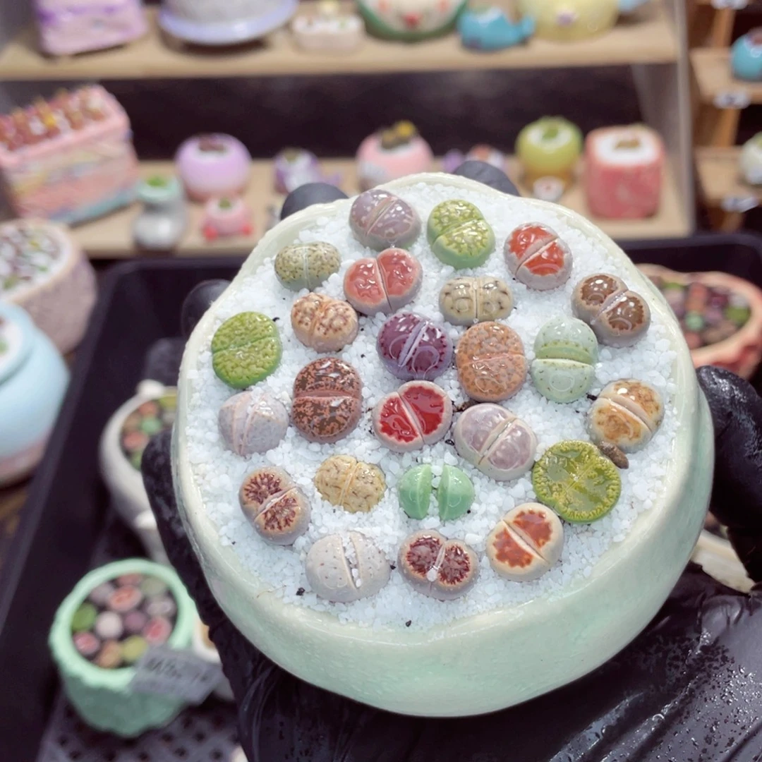 夜间零下地区拍保温箱w5220