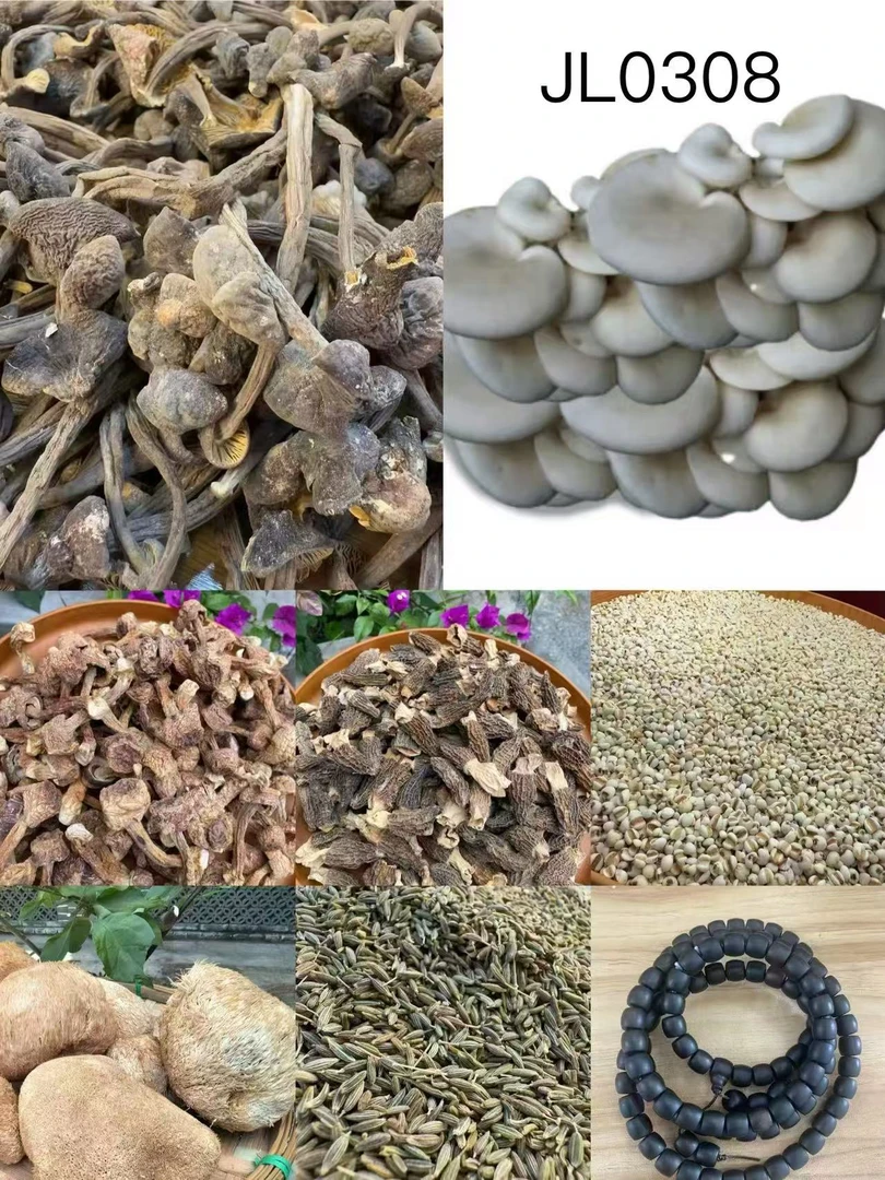 《阿浩专用土特产JL0308》多样性发货 重量50克左右