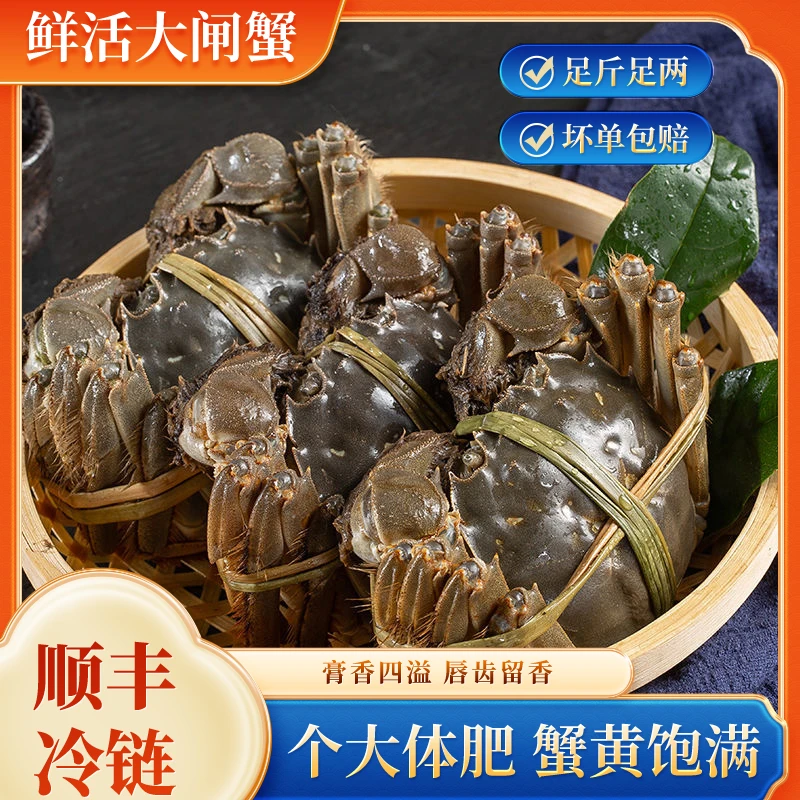 【活蟹】江苏大闸蟹2两全母蟹8只-10只顺丰鲜活到家