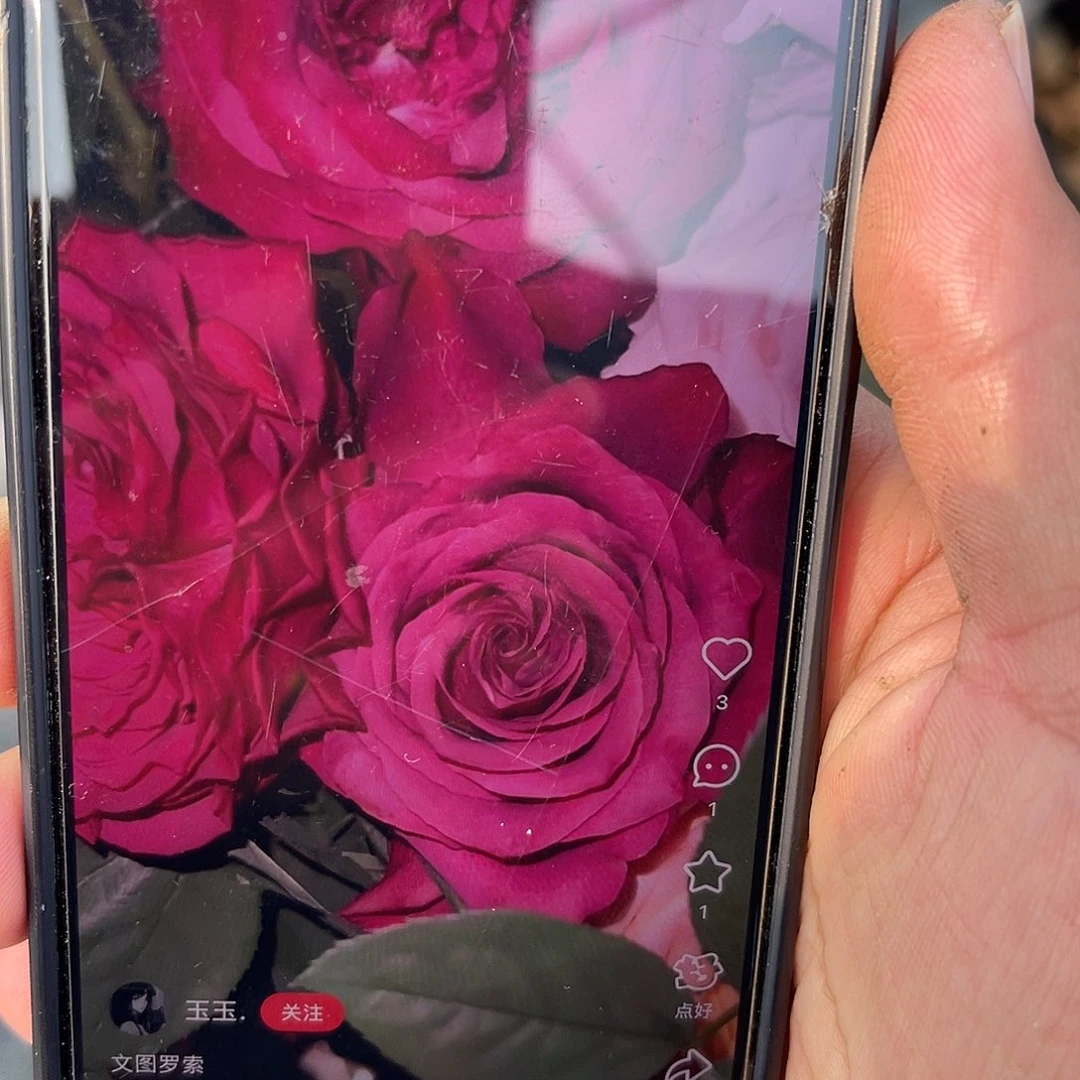 无花朵————文图罗嗦。七加仑 福利了