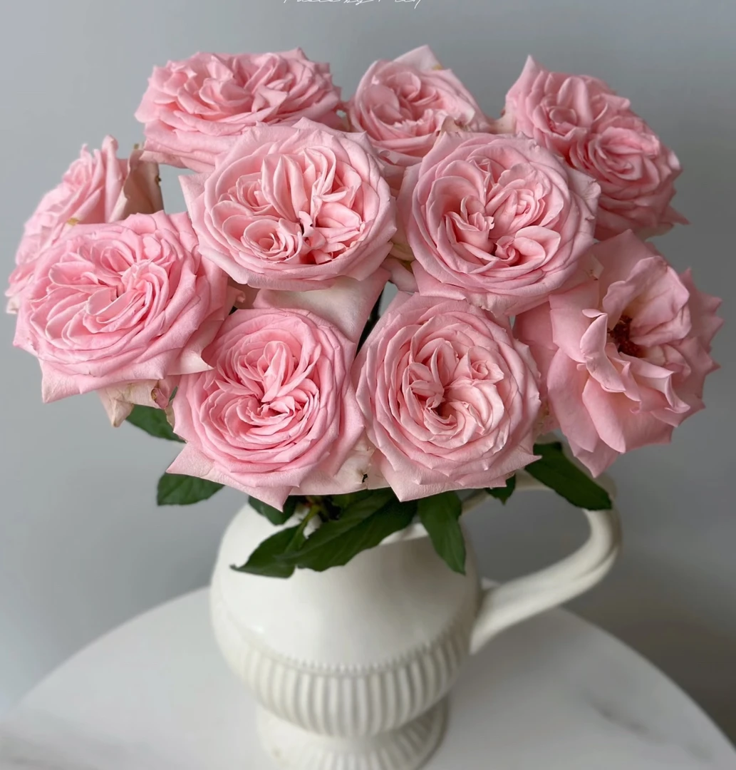 【香水宝塔玫瑰20支】（20%不售后）