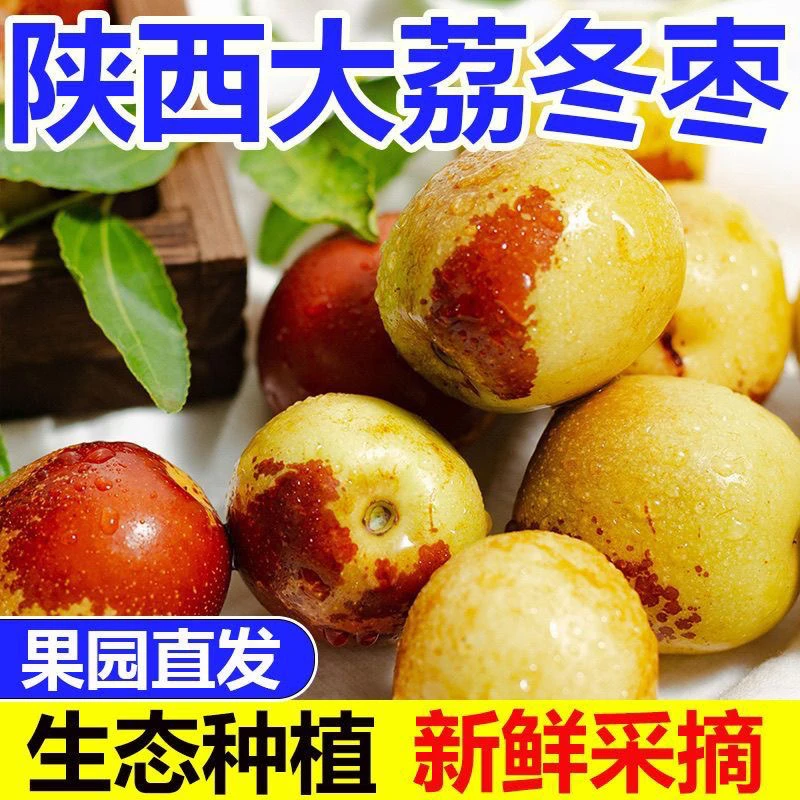 陕西大茘冰糖冬枣现摘新鲜脆甜当季应季水果
