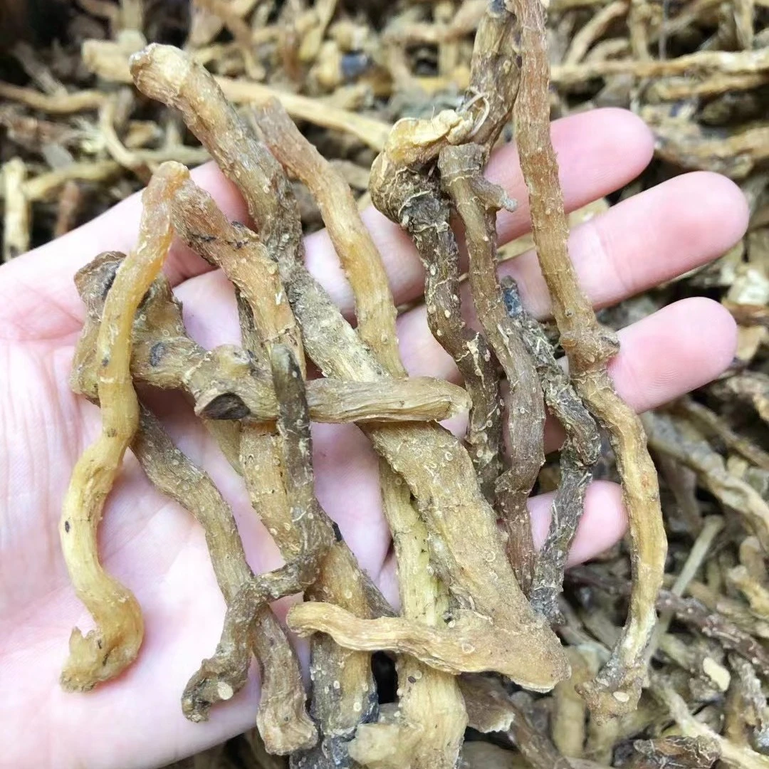 【御膳】玉竹 广东汕头