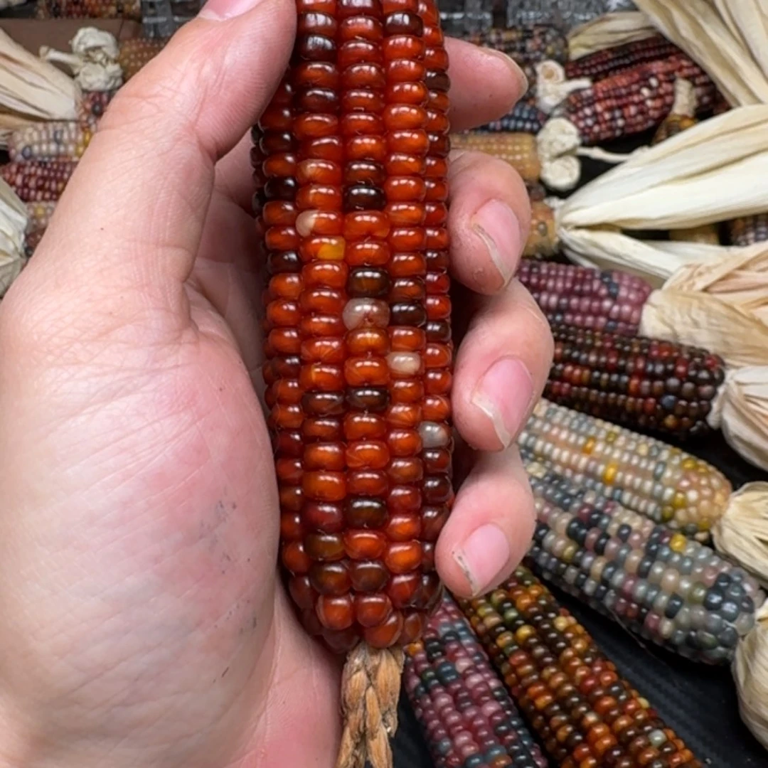 柏香籽/百香籽吊坠?**子