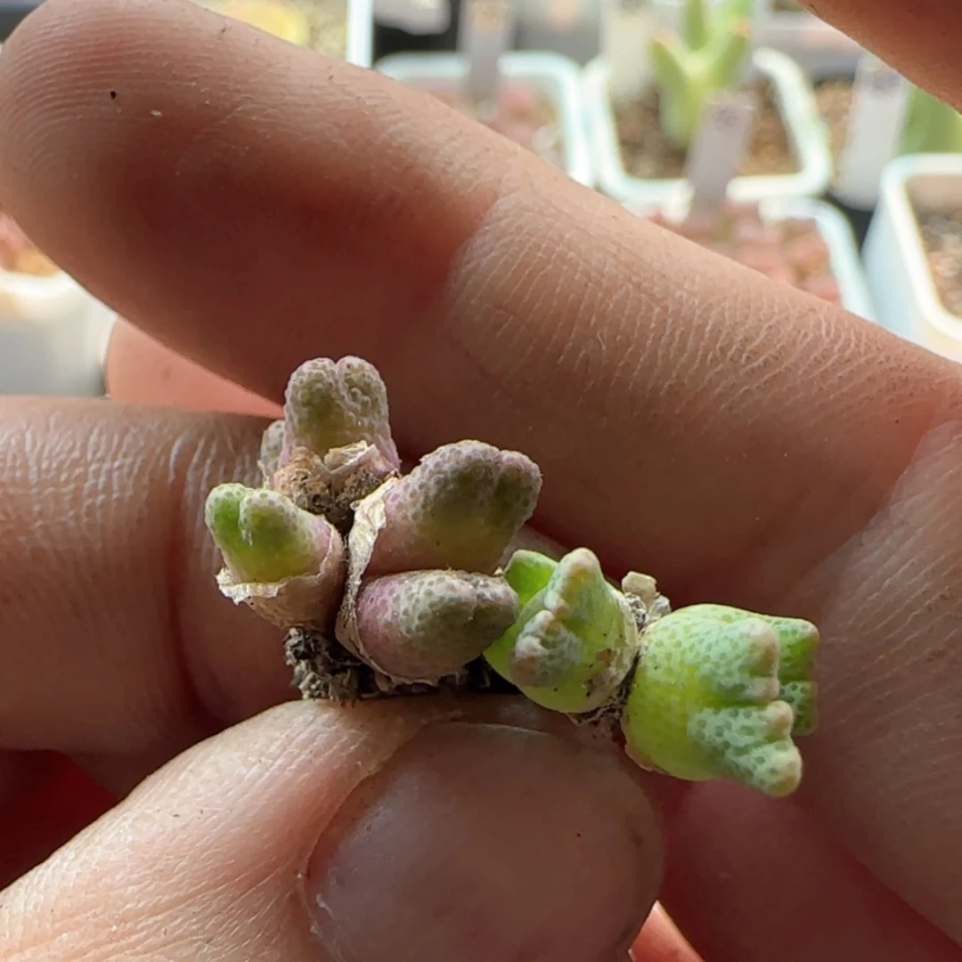 【闪购商品】?**?8607