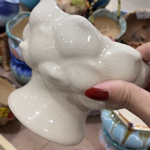 陶瓷D火锅白色2223333