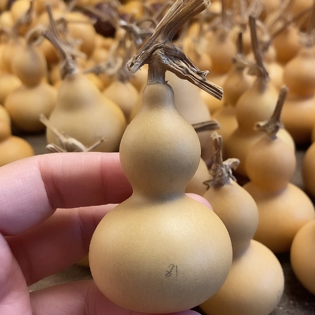 文玩葫芦 完美主义者 慎拍81