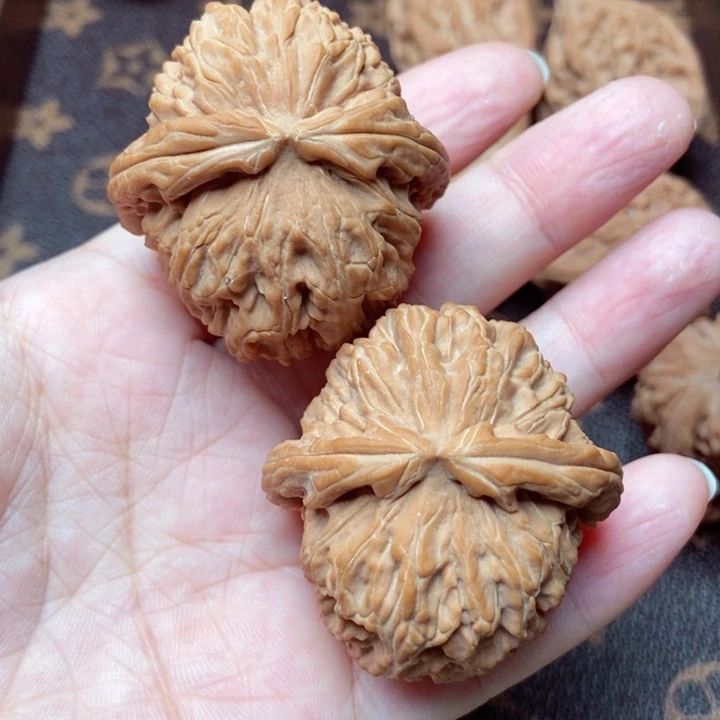 把件文玩核桃白狮子41肚子42