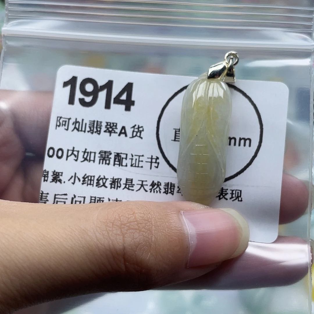 翡翠未镶嵌吊坠(赠链)