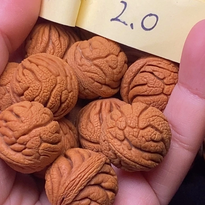 老***许秦岭龙纹桃核13颗