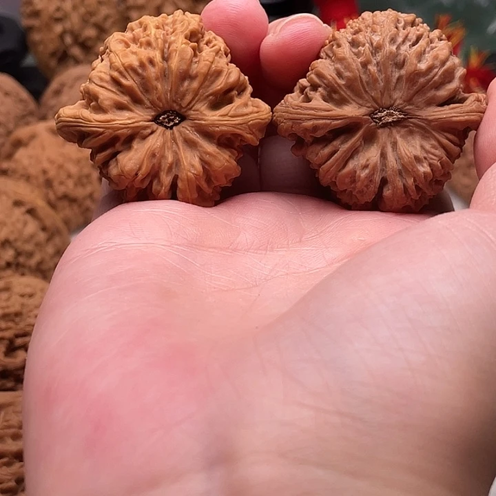 浩***生物美价廉物美价廉