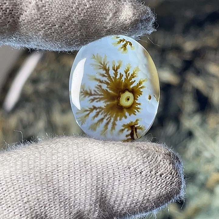 风景画面图案美景