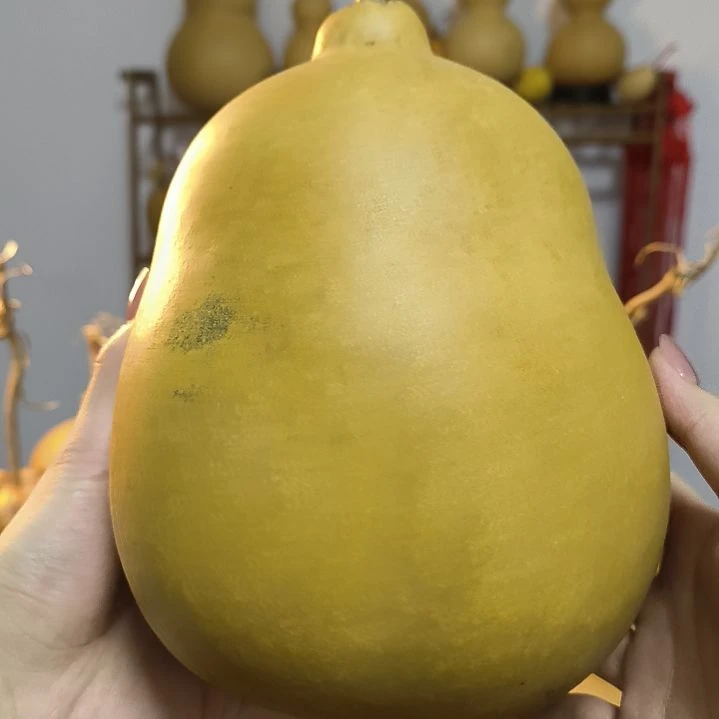 森***淼葫芦葫芦胖墩墩子葫芦娃