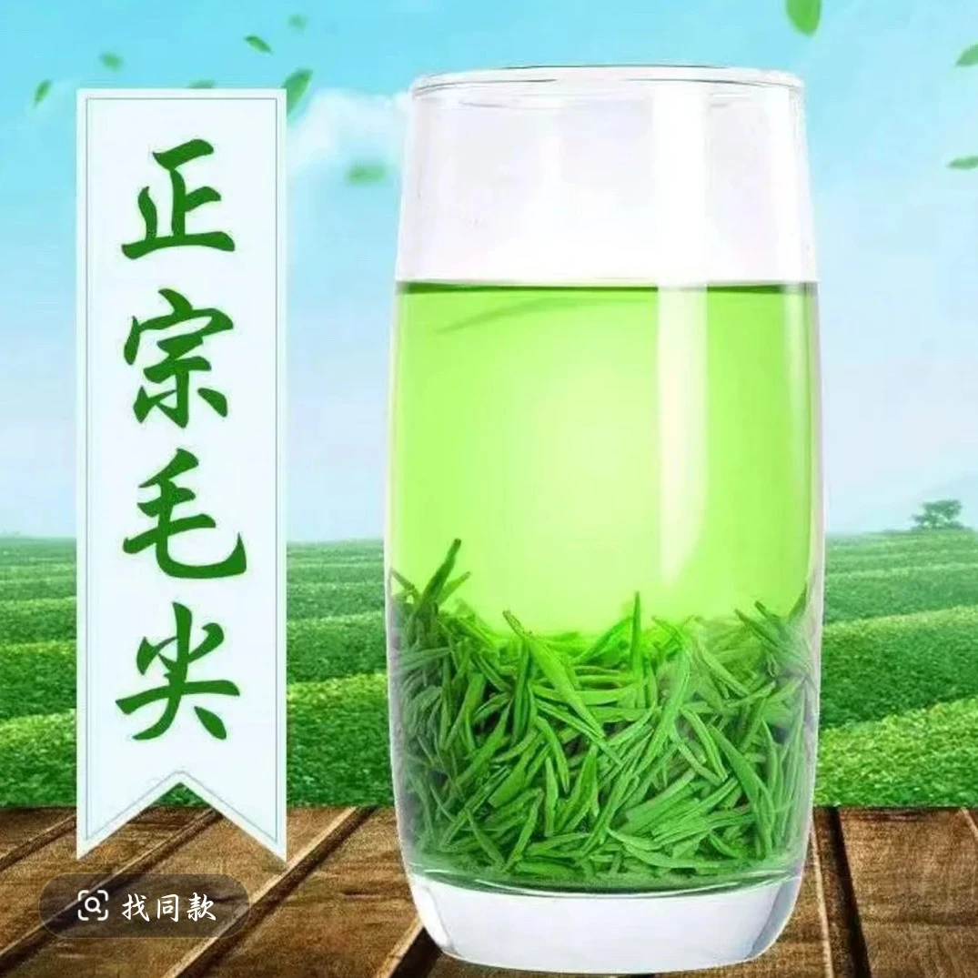 2025正宗信阳毛尖绿茶新茶嫩芽叶散装浓香型直条袋茶鲜爽回甘