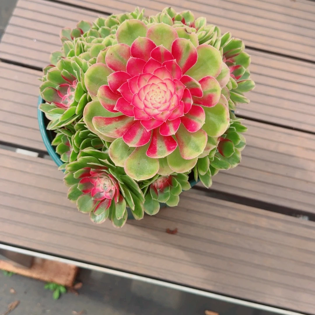 芒***喂djdjjdjhdjdhshsshbs