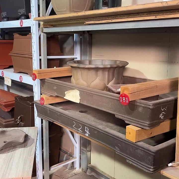 永***园紫砂花盆mmmmmmmmmmmm