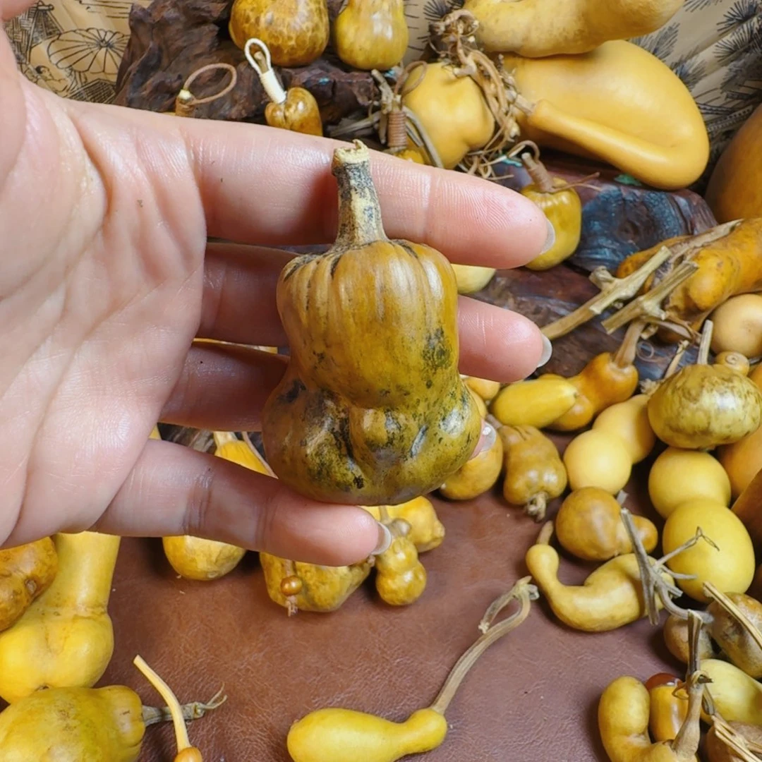 臭***泥是生生世世生生世世生生世世生生世世