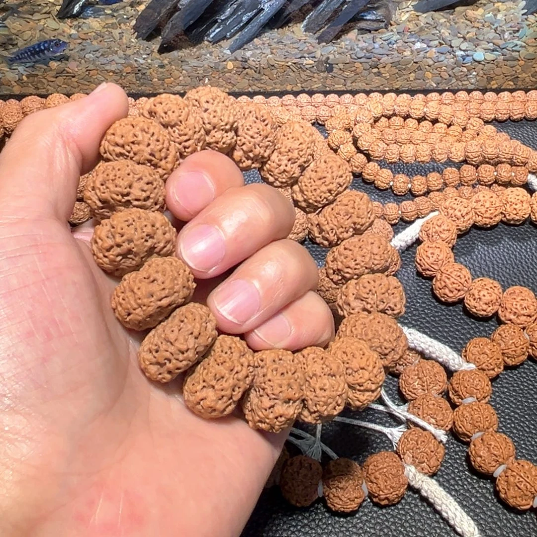 时***语手串金刚菩提尼泊尔金刚菩提子