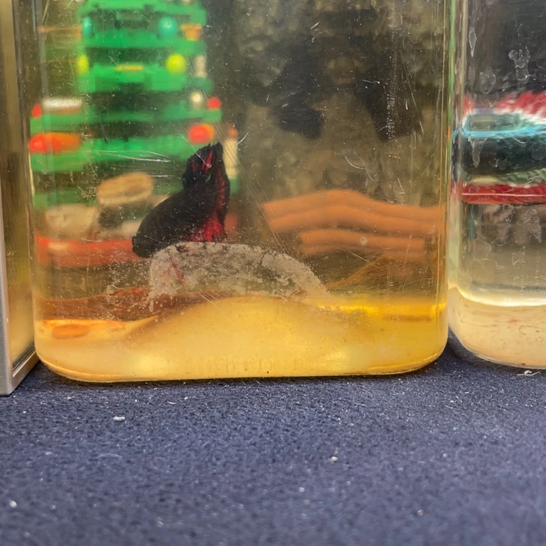 斗鱼十二月十三日竞价