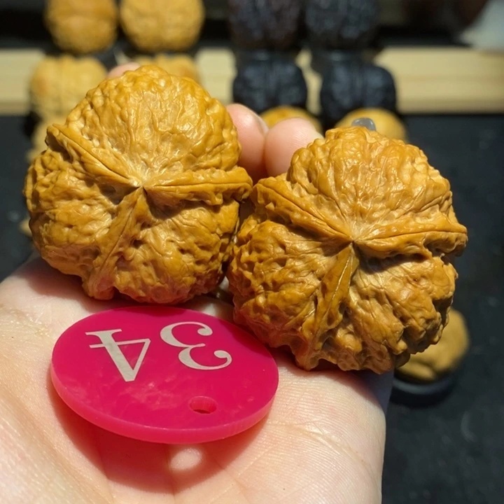 核桃大**～三棱43核桃尺寸