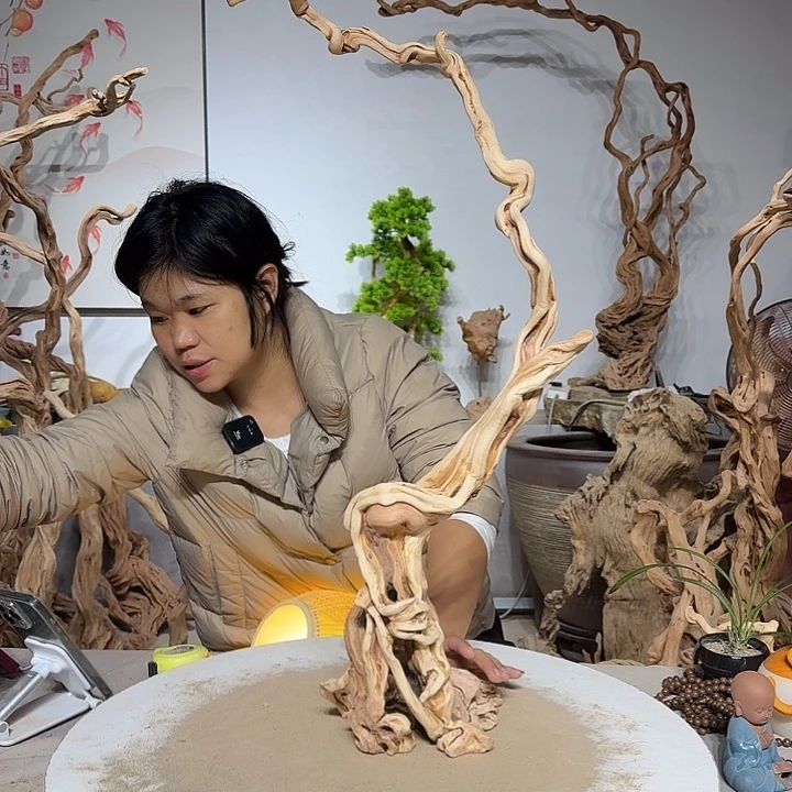 冬***狗杜鹃根和小灌木的叶