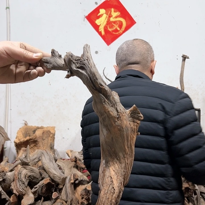 柏木苏*衣我们的生活也是如此