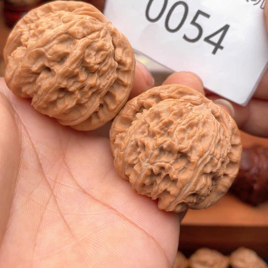 文玩核桃把件精配白狮子41