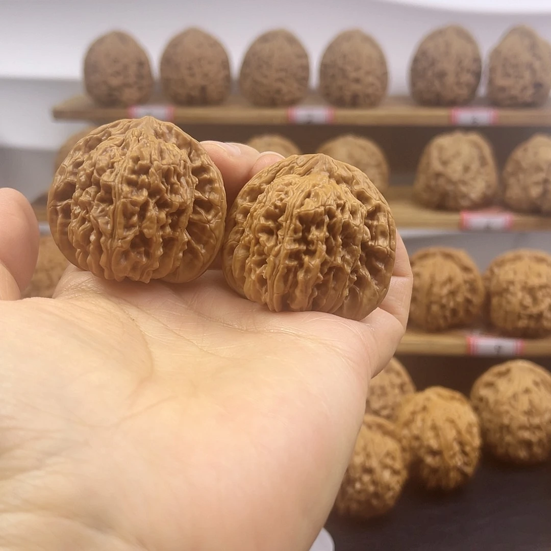 全品无修四座楼一对