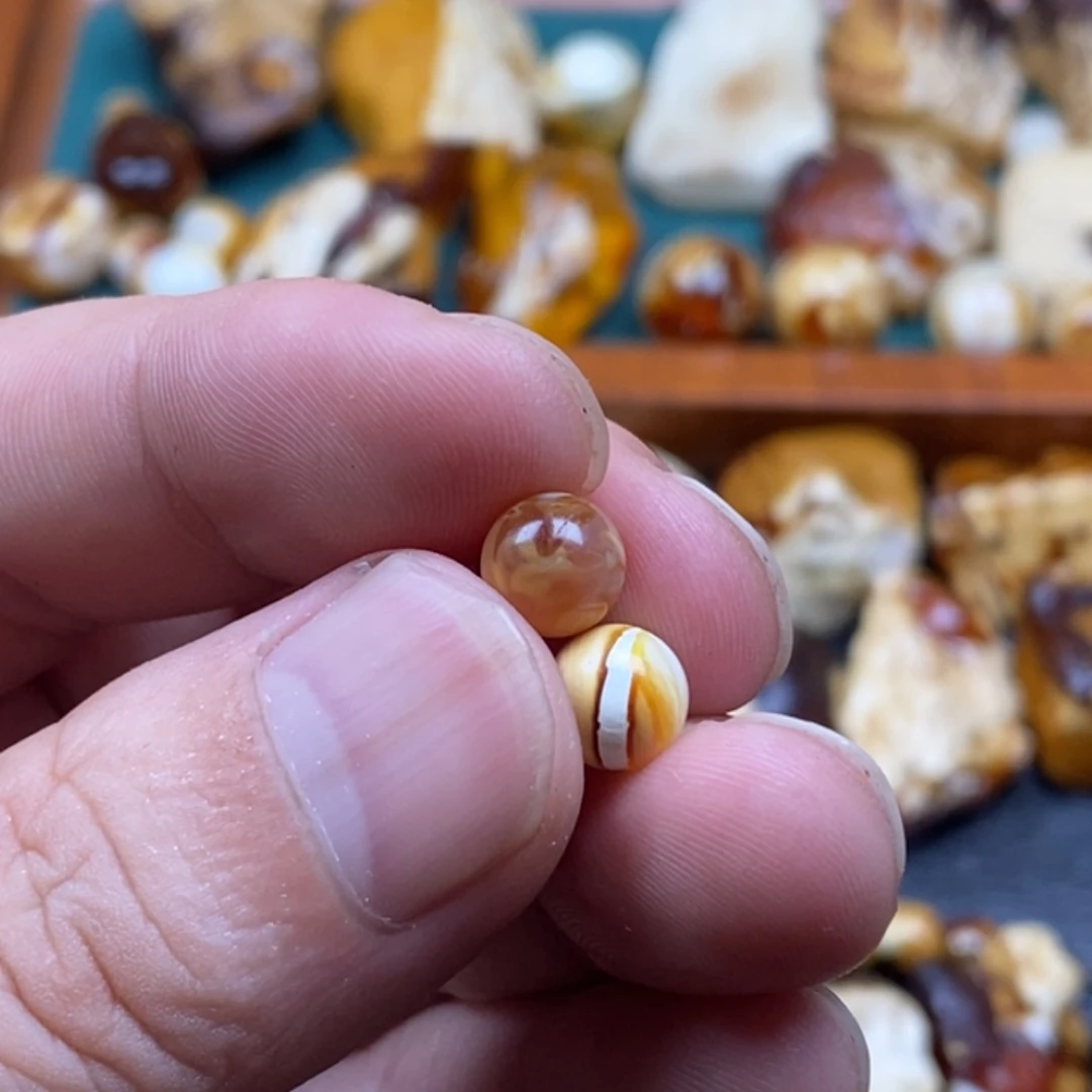 陈***成定制琥珀未镶嵌琥珀蜜蜡