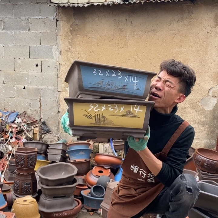 红陶这样我也可以去看