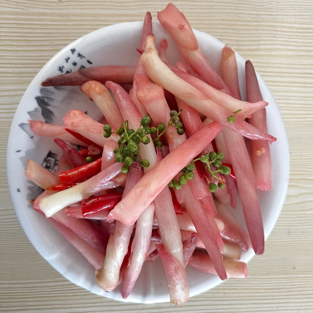 农产品食用新鲜泡酸辣嫩阳菏芽500克泡菜