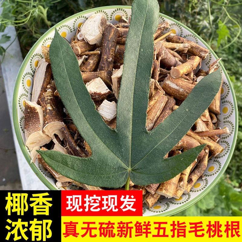 正宗新鲜湿小叶五指毛桃根口感椰香无硫煲汤煮水泡酒食材250/500g