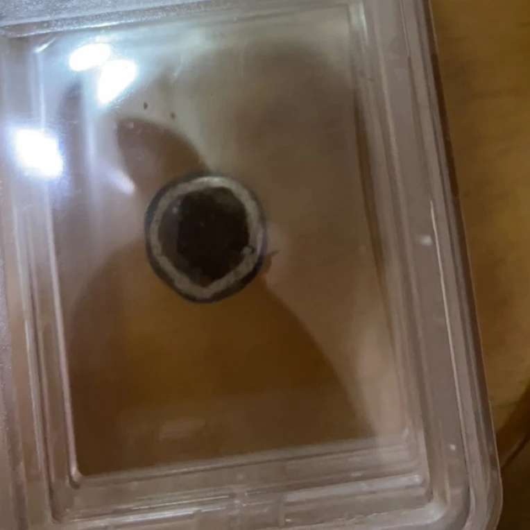 藏地密码，藏式珠子y69