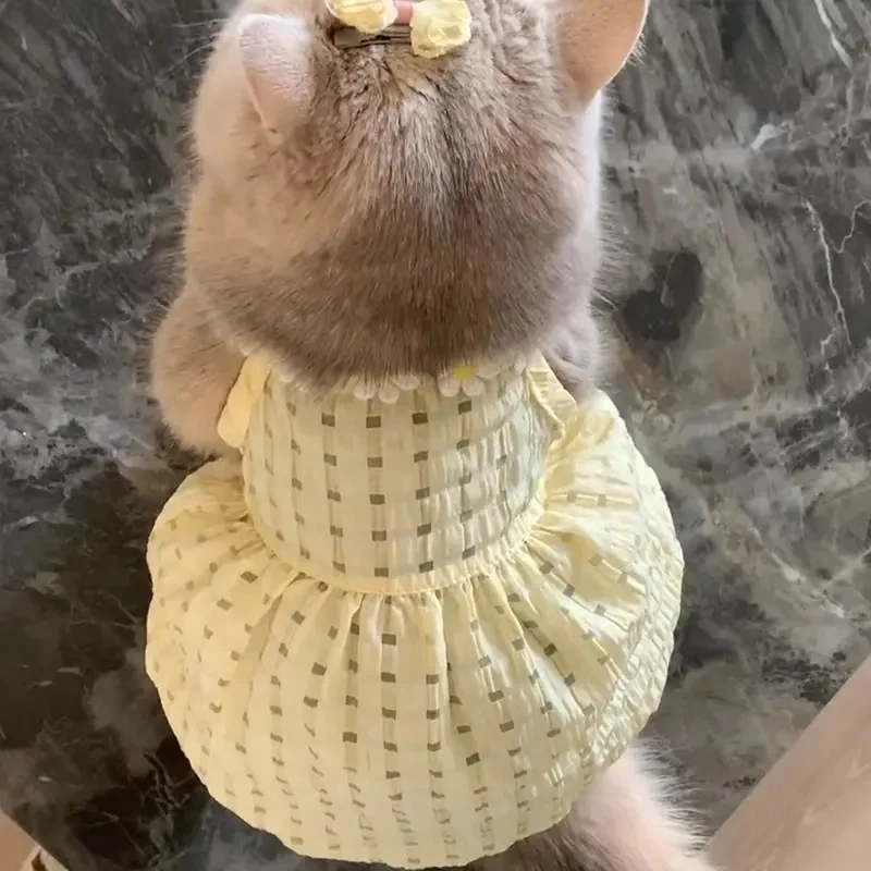 猫咪夏天衣服小裙子防掉毛可爱ins金渐层布偶猫英短夏季吊带6171