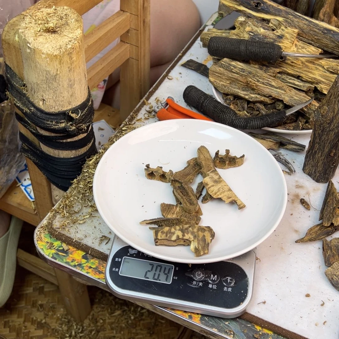 线香奇楠虫漏香20克