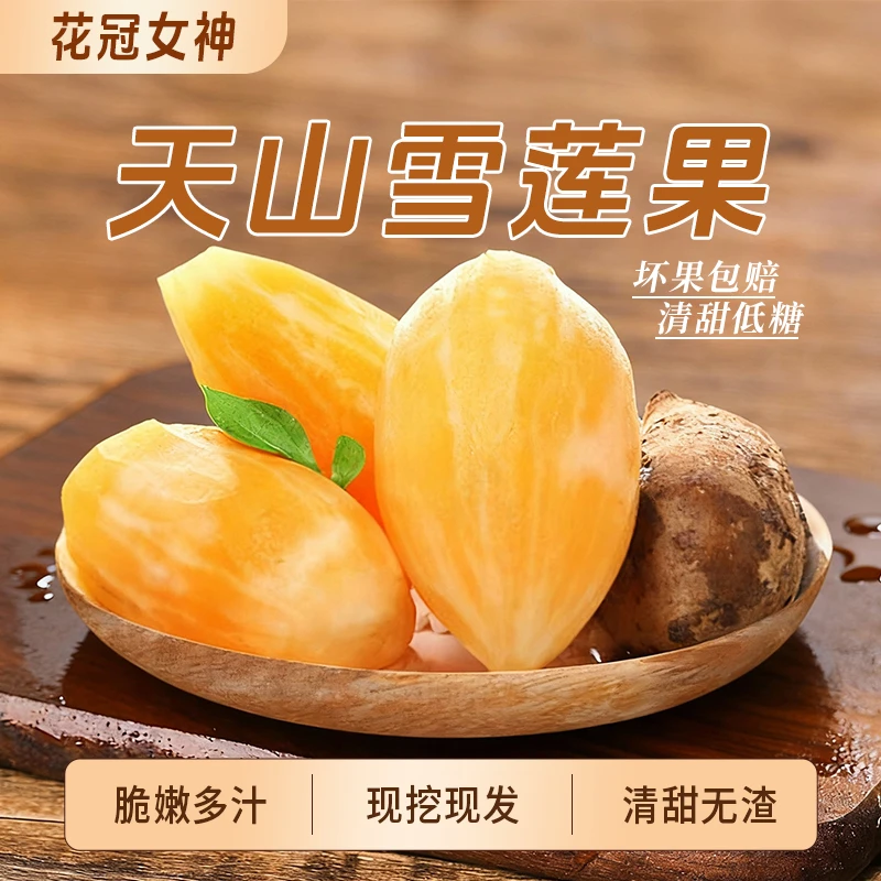 云南天山雪莲果清甜脆爽多汁黄心新鲜应季水果现挖产地包邮大果