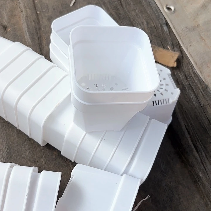 万象80白方盆20个