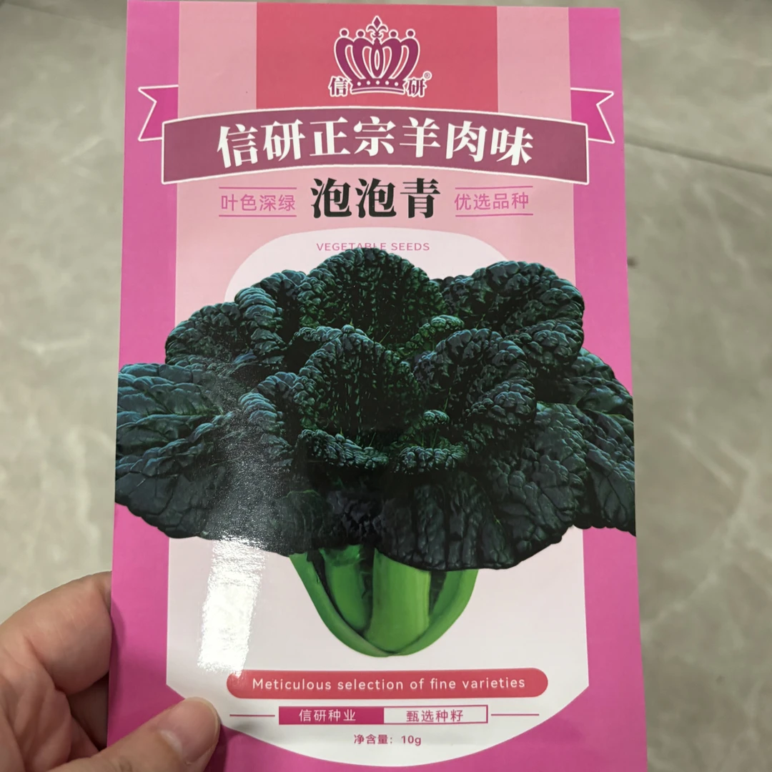 耐寒高产随州泡泡青种子皱叶黑白菜 黑油白菜种子 阳台种盆栽四季